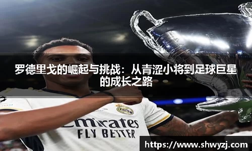 球速体育官网